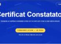 Certificat constatator online: tipuri și diferențe
